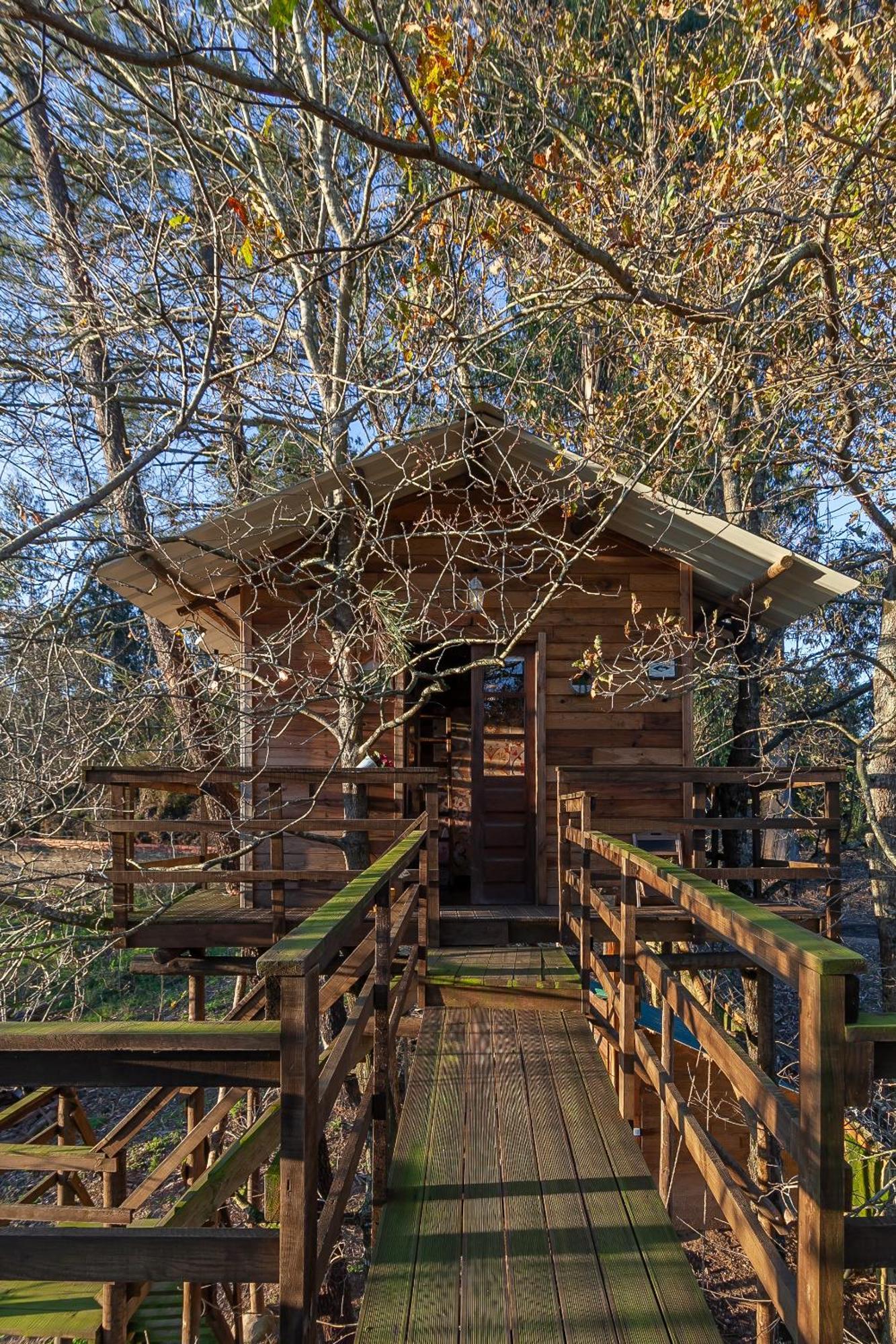 Vale Da Silva Villas - Quinta Albergaria-a-Velha Cameră foto